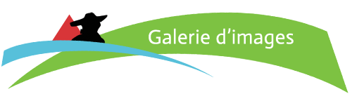 Patrimoine : galerie d'images